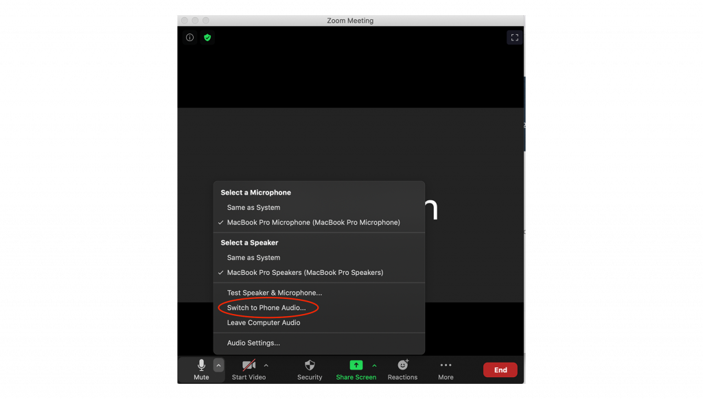 Screenshot of Zoom interface showing how to "Switch to Phone Audio"