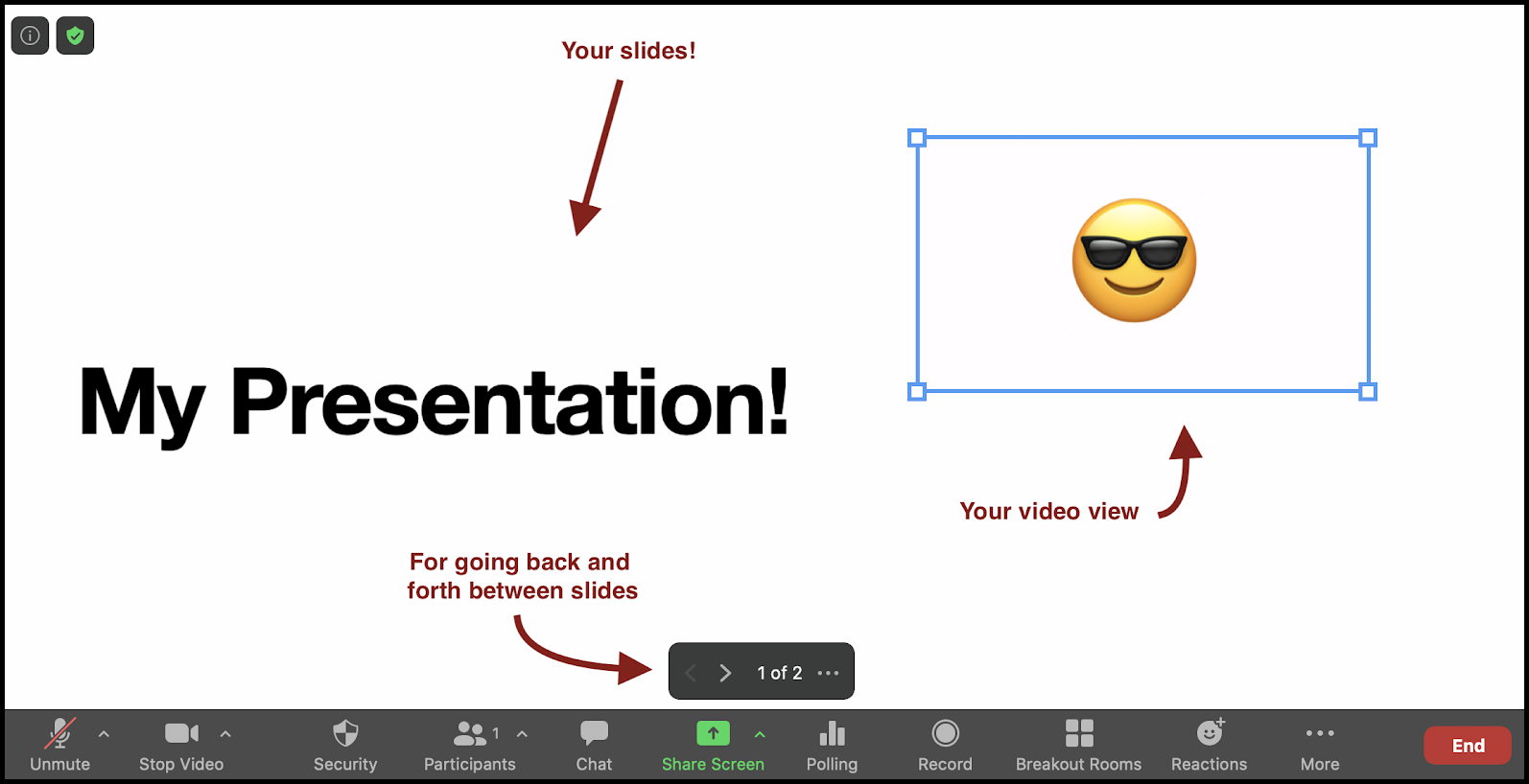 How to use the Slides as Virtual Background Zoom feature - IT Teaching  Resources